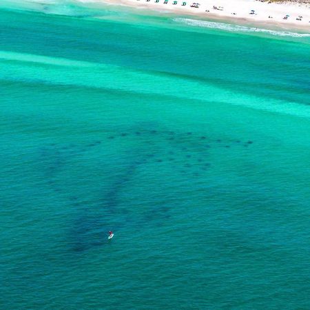 Beach Resort 316 Destin Dış mekan fotoğraf